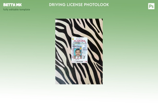 Возачка дозвола во модерен стил САД Алабама под шаблон photolook FRONT